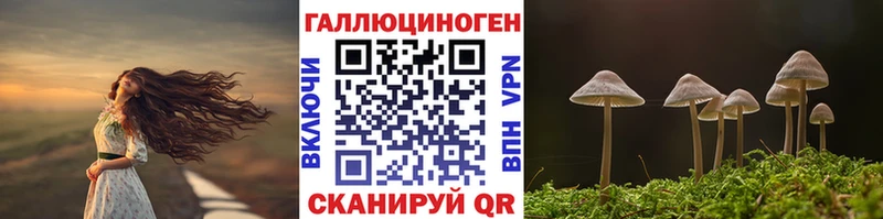 Псилоцибиновые грибы ЛСД  Калачинск 